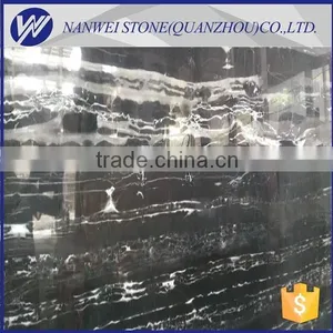 Silver White Dragon Marble Slab Toilet Wall and Floor Tiles thumbnail-1