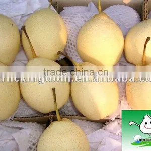 2013 Fresh Pear 18kg 96# thumbnail-1