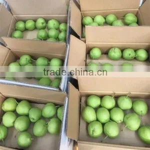 2015 New Crop Fresh su Pear With Good Quality White Pears Fresh Juicy Pears thumbnail-2