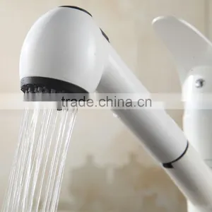 Professional Manufacture Color Painted Kitchen Faucet thumbnail-5