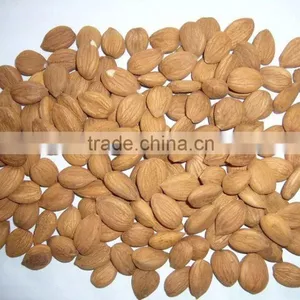 Supply Sweet Apricot Kernels With 8% Bitter thumbnail-5