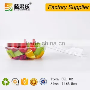 Custom Design Disposable Plastic Salad Box With Lid thumbnail-4