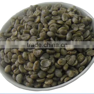 Arabica Coffee Bean thumbnail-1