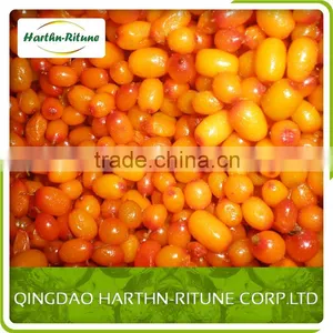 Frozen Sea Buckthorn thumbnail-1