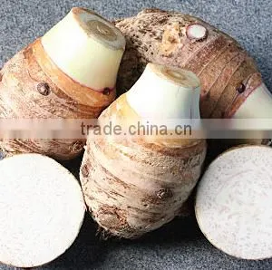 Frozen Taro Whole thumbnail-1