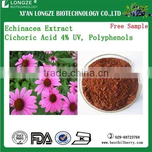 Natural Echinacea Extract Cichoric Acid 4% UV Polyphenols thumbnail-1
