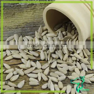 High Grade 2016 Sunflower Seeds Kernel On Sale thumbnail-6