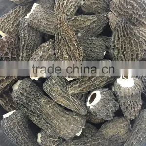 Dried Morels Mushroom/morchella Conica thumbnail-1
