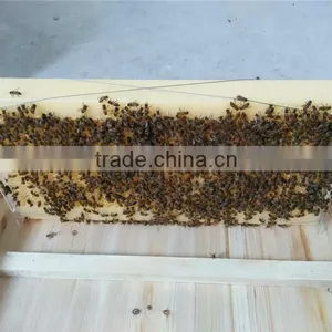 Honey Flow Beehive Frame/plastic Beehive Frame thumbnail-4