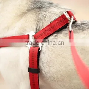 Durable Wholesale Pet Dog Leash and Harness thumbnail-3
