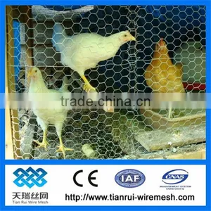 Galvanized Hexagonal Wire Mesh Chicken Wire thumbnail-1