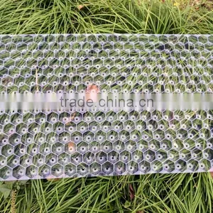 Hydroponic Wheat/barley/rice/paddy Seedling Tray Breeding thumbnail-2