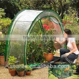Walking in Garden Greenhouse thumbnail-1