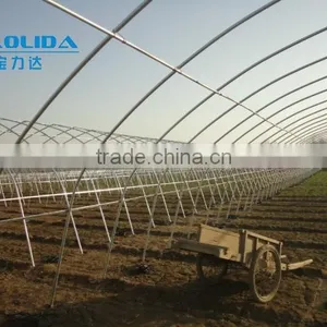Low Cost Single-span Agricultur Tunnel Greenhouse thumbnail-1