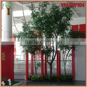 Customized Real Wood Ficus Tree thumbnail-4