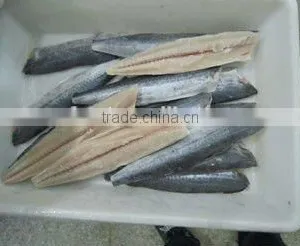 Spanish Mackerel Fillet thumbnail-1