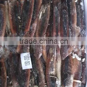 Seafood Squid Illex Squid Frozen Argentinus Squid thumbnail-1