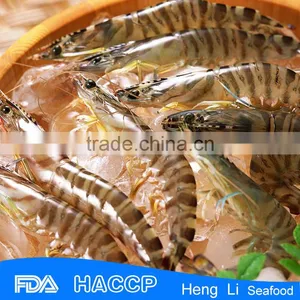 Frozen Banded Shrimp thumbnail-3