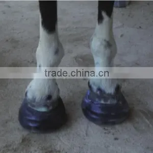 Hoof Cast thumbnail-2