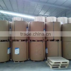 160 170 180 Gsm Food Grade Disposable PE Coated Paper in Roll thumbnail-1