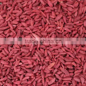 High Quality Organic Herbal Tea Bulk Dried Goji Berry thumbnail-5