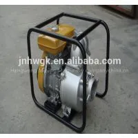 Fuel Water Pump/petrolic Pump/diesel Pump/Agricultural Pump/Household Pump thumbnail-1