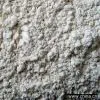 Sell Garlic Powder thumbnail-1