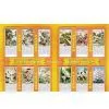 Bamboo Paper,bamboo, Paper, Calendar thumbnail-1