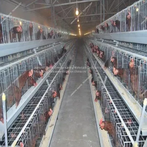 According To Customer Requires PP Glossy White Manure Belt thumbnail-2