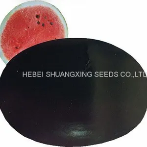 Black Jing Hybrid f1 Large Size Planting Watermelon Seeds thumbnail-4