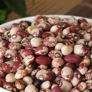 Vigna Umbellata/Kidney Beans thumbnail-1