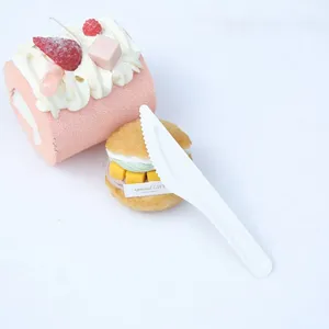 100% Bagasse Dinner Knife Sugarcane Biodegradable Tableware Disposable Bagasse Knife Serving Knife thumbnail-5