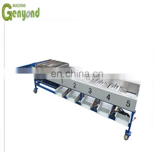 1T Grading Machine for Olives thumbnail-1
