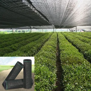 Mono Shade Net 50% Shade Rate For Greenhouse HDPE Netting UV Stablized thumbnail-1