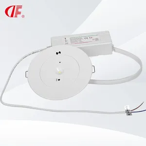 led emergency down light