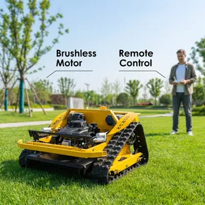 Wireless Radio Control 200M Range Crawler Weeding Machine Brushless Walking Motor Engine Gearbox 600mm Cutting Width Lawn Mower thumbnail-1