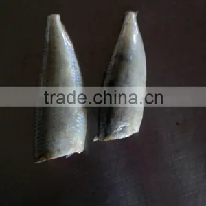 Head off Gutted Tail off Frozen Sardine Fish and Sardinella Longiceps thumbnail-2