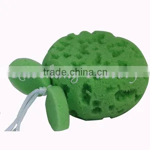 Latest Hot Selling Decorative Natural Sea Sponges thumbnail-1