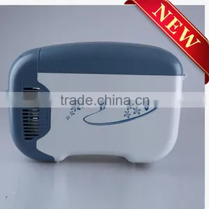 Good Quality 4L Personal Car Cooler Box Car Fridge (Cooler&Warmer) thumbnail-1