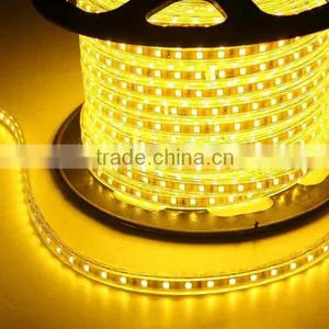 Outdoor Waterproof 220V AC Flex IP65 Tube Around 5050 Led Strip thumbnail-2