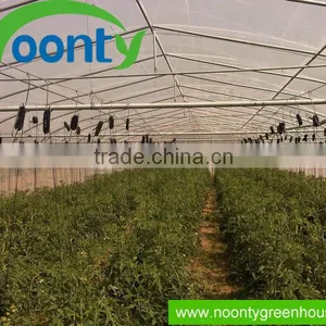 Agricultural Greenhouse,NOONTY thumbnail-1