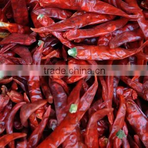 Red Chilli thumbnail-1