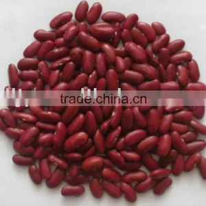 British Red Kidney Beans Crop 2015 thumbnail-1