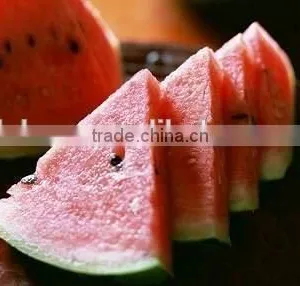 Dried Watermelon Powder thumbnail-1