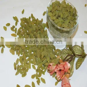 Clean Xinjiang Origin 80 %green Raisin to Sale thumbnail-1