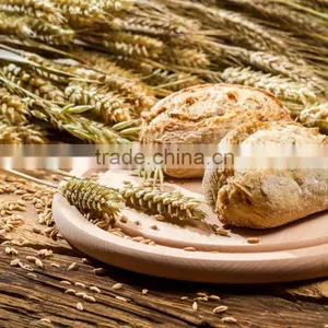 Malt Extract Powder thumbnail-3