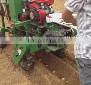 High Performance 2Cm Series Potato Planter/potato Seeder/Potato Plant Growth Regulator thumbnail-4