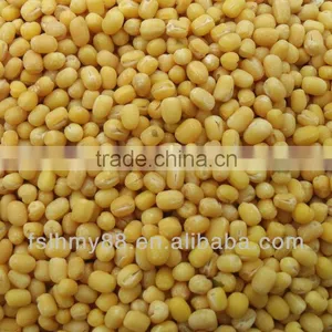 Peeled/skinless Whole Green Mung Bean thumbnail-1