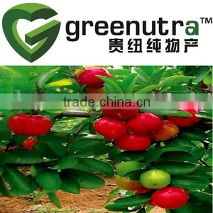 Acerola Cherry Fruit Extract thumbnail-1