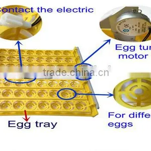 HHD 2016 New Design Lab Heating and Cooling Incubator Mini 48 Egg Equipment for Selling EW-48 thumbnail-5